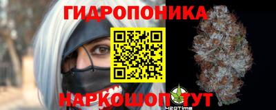 mdpv Лесосибирск