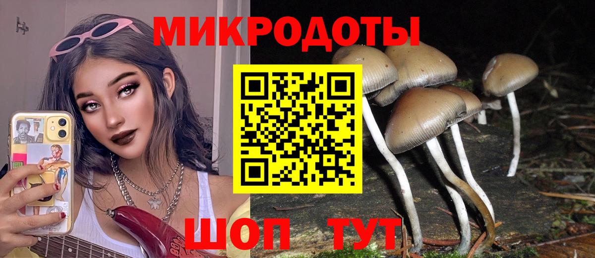 Псилоцибиновые грибы MAGIC MUSHROOMS  Вход с VPN  Заволжье 